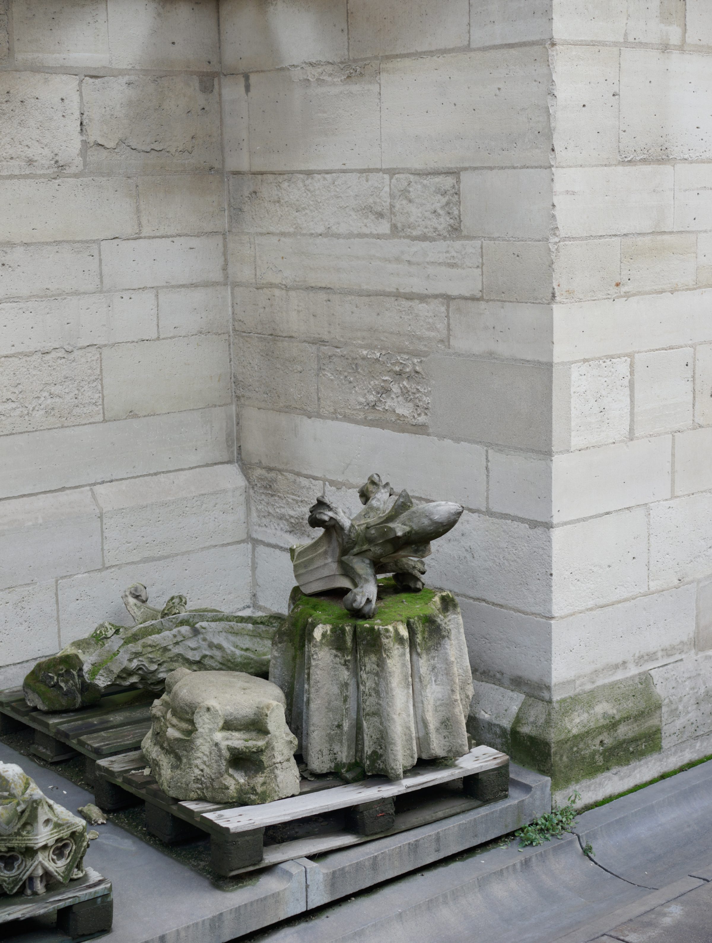 Stone architectural fragments and carved sculptural elements arranged on wooden pallets against a corner of light-colored brick walls. The collection includes a weathered stone head, decorative moldings, a winged gargoyle figure, and a crocodile or dragon form, all showing patina and moss growth from age.