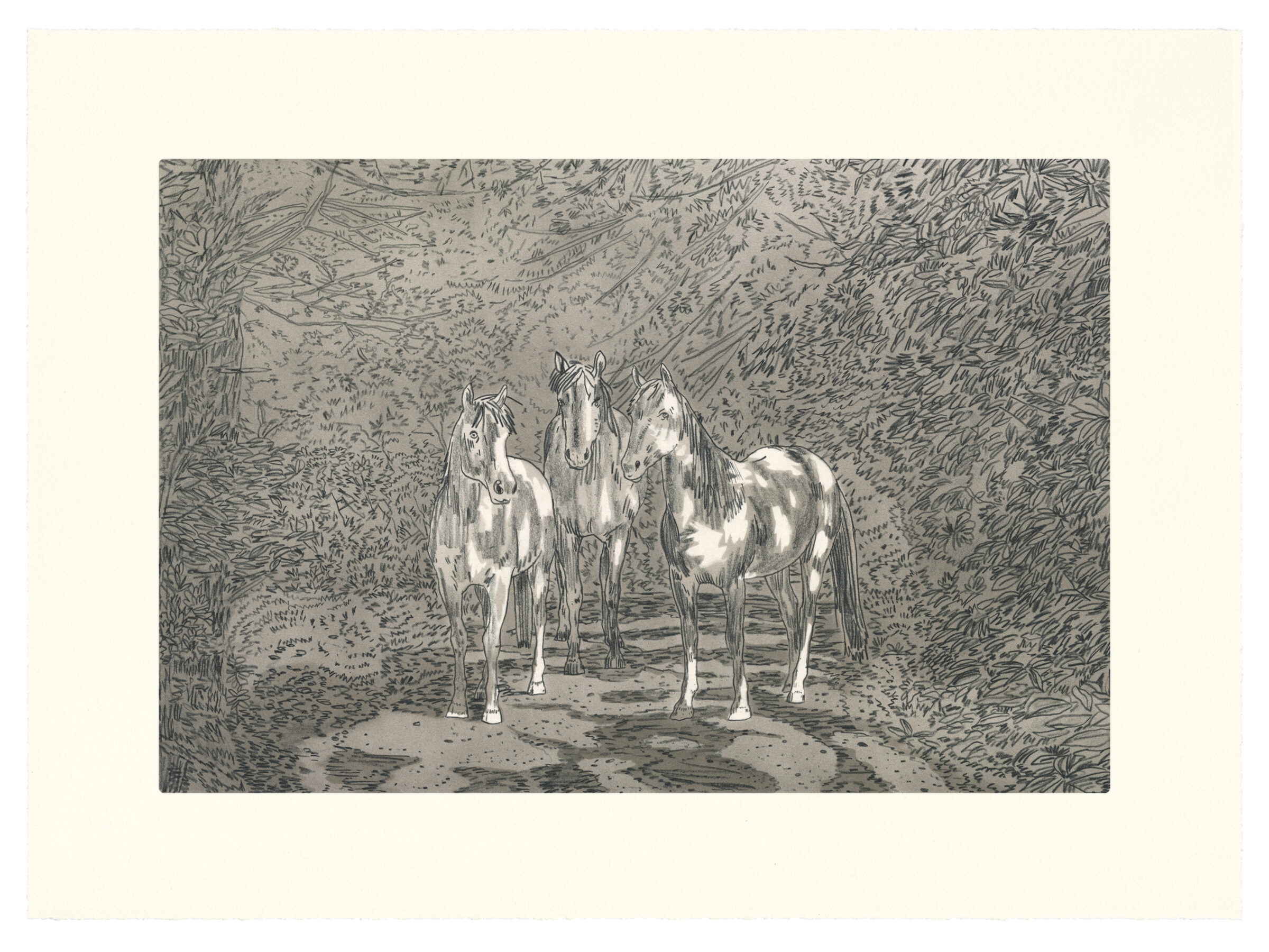 Three horses with white markings stand on a forest path, rendered in intricate black and white line work with detailed cross-hatching that fills the dense vegetation surrounding them on both sides.