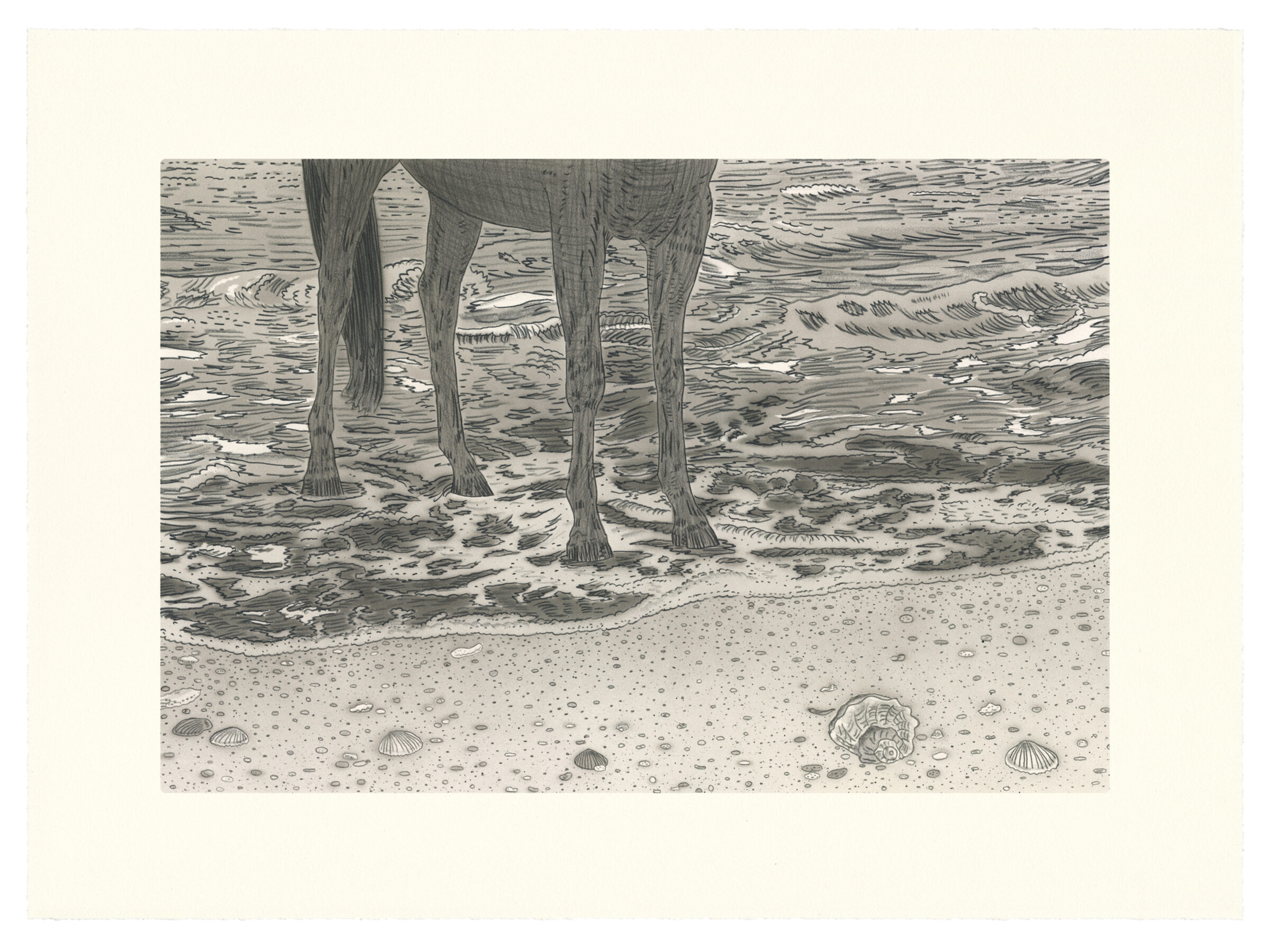 A detailed black and white drawing depicting the lower legs and hooves of an elephant standing in shallow water at a beach, with shells and pebbles scattered across the sand in the foreground and rippling waves visible in the background.