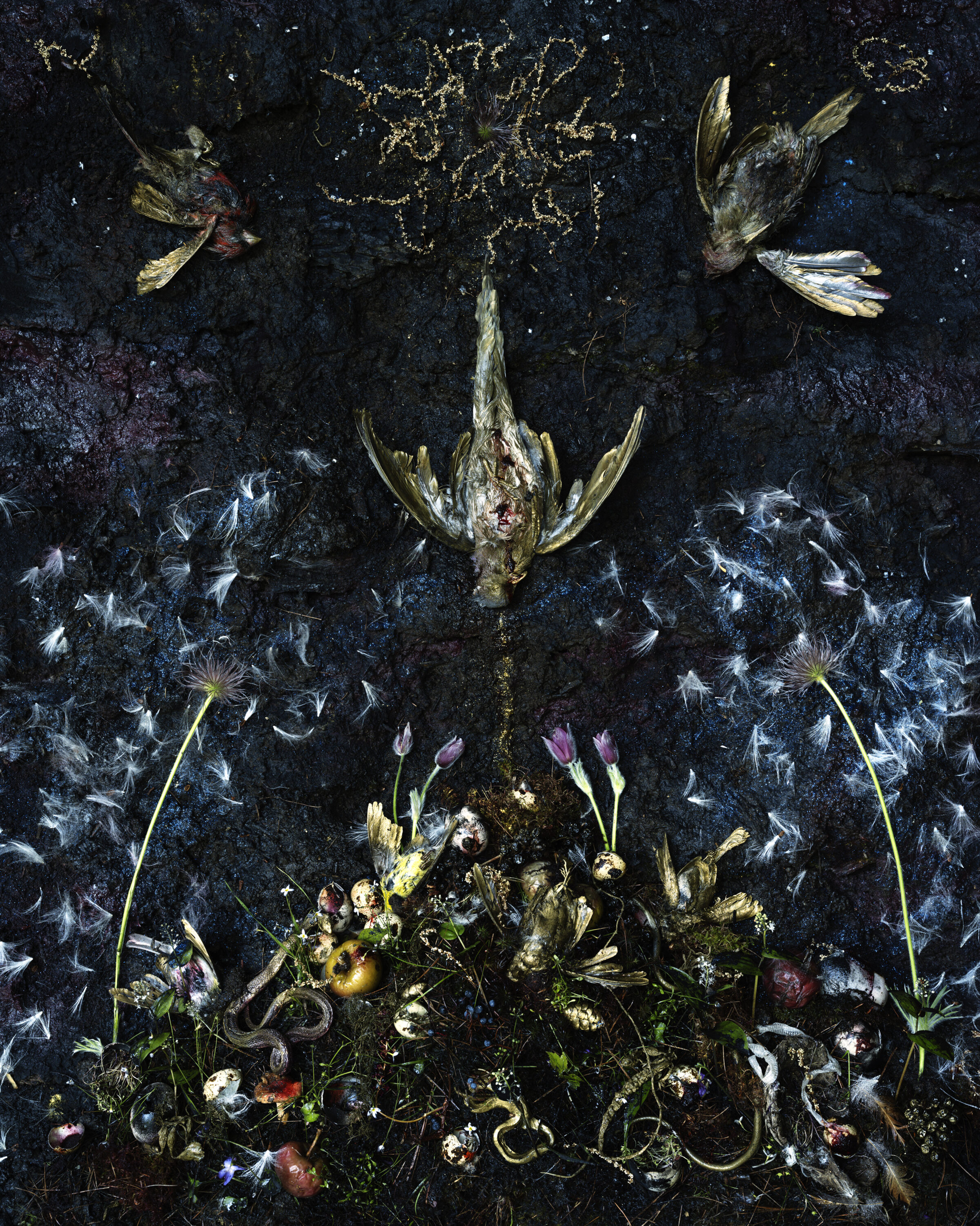 Overhead view of a dark, textured surface scattered with dried flowers, insects, and delicate plant materials arranged in a symmetrical, mirror-image composition. Golden leaf-like forms and translucent wings frame the arrangement, while white seedheads and purple buds create contrast against the deep black background.