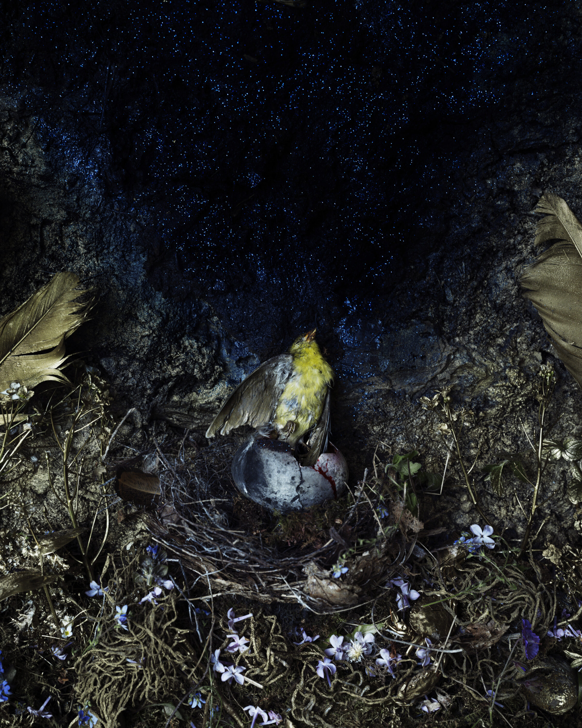 A yellow and blue bird with spread wings perches above a dark nest containing speckled eggs, nestled among moss-covered rocks and delicate purple flowers beneath a starlit night sky.
