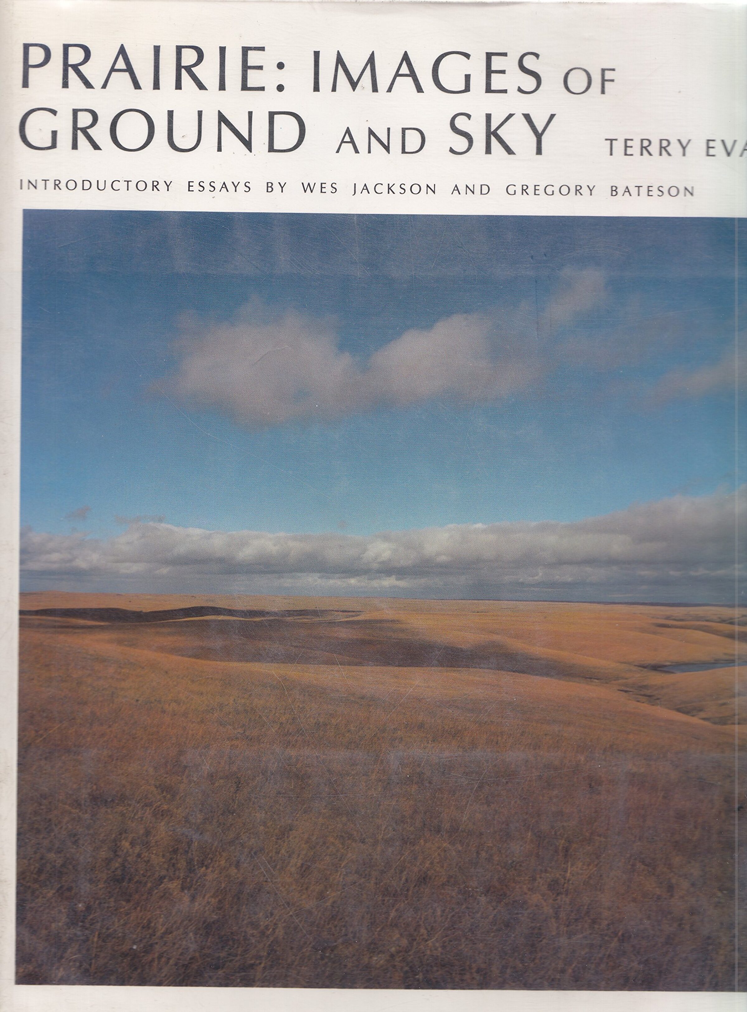 Front cover of Prairie: Images of Ground and Sky by Terry Evans.