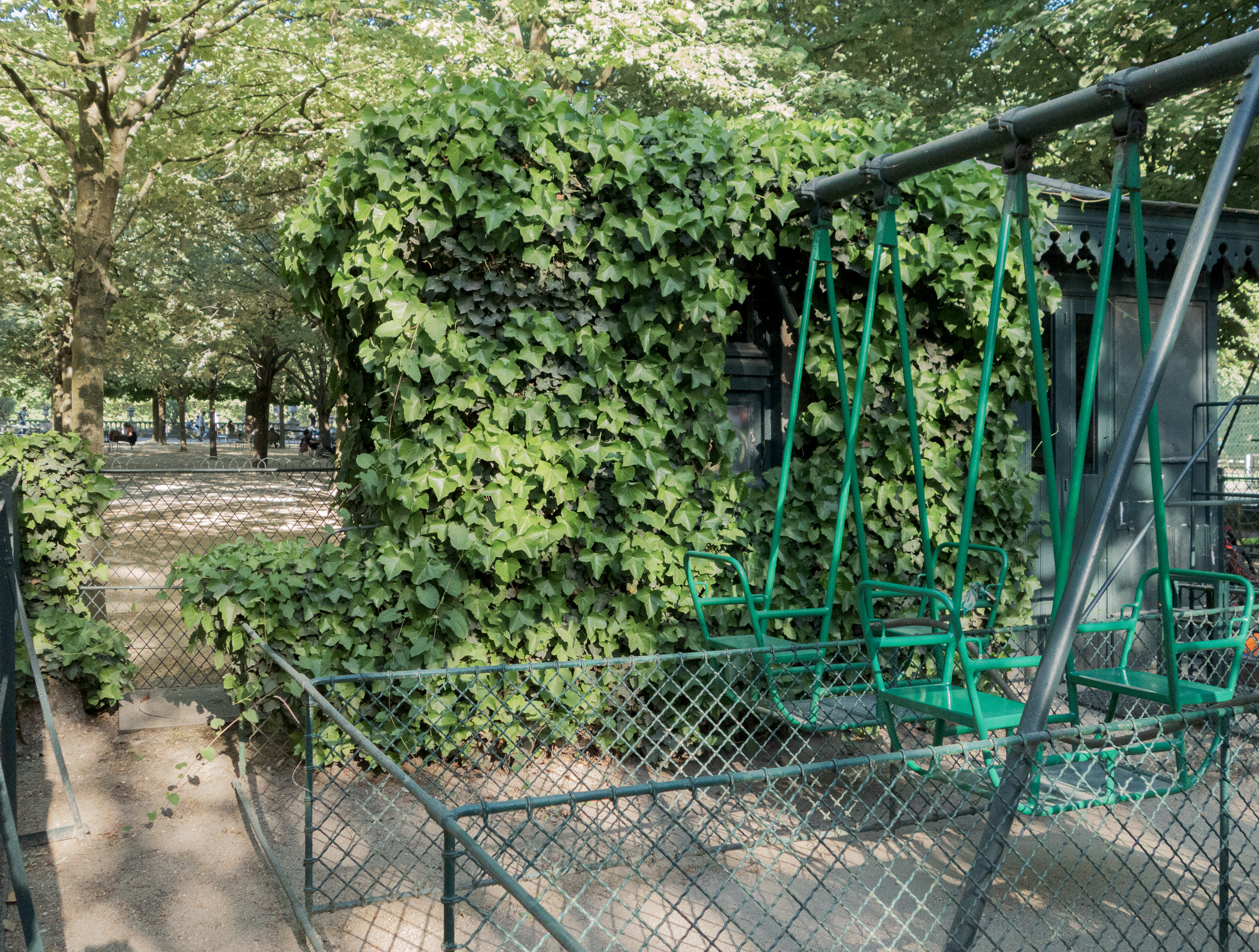 A verdant green pergola densely covered in climbing ivy stands in a sunlit public park, with metal benches visible beneath and mature trees lining the background. The composition captures dappled light filtering through both the foliage overhead and the leafy vines, creating a natural architectural structure within the urban landscape.