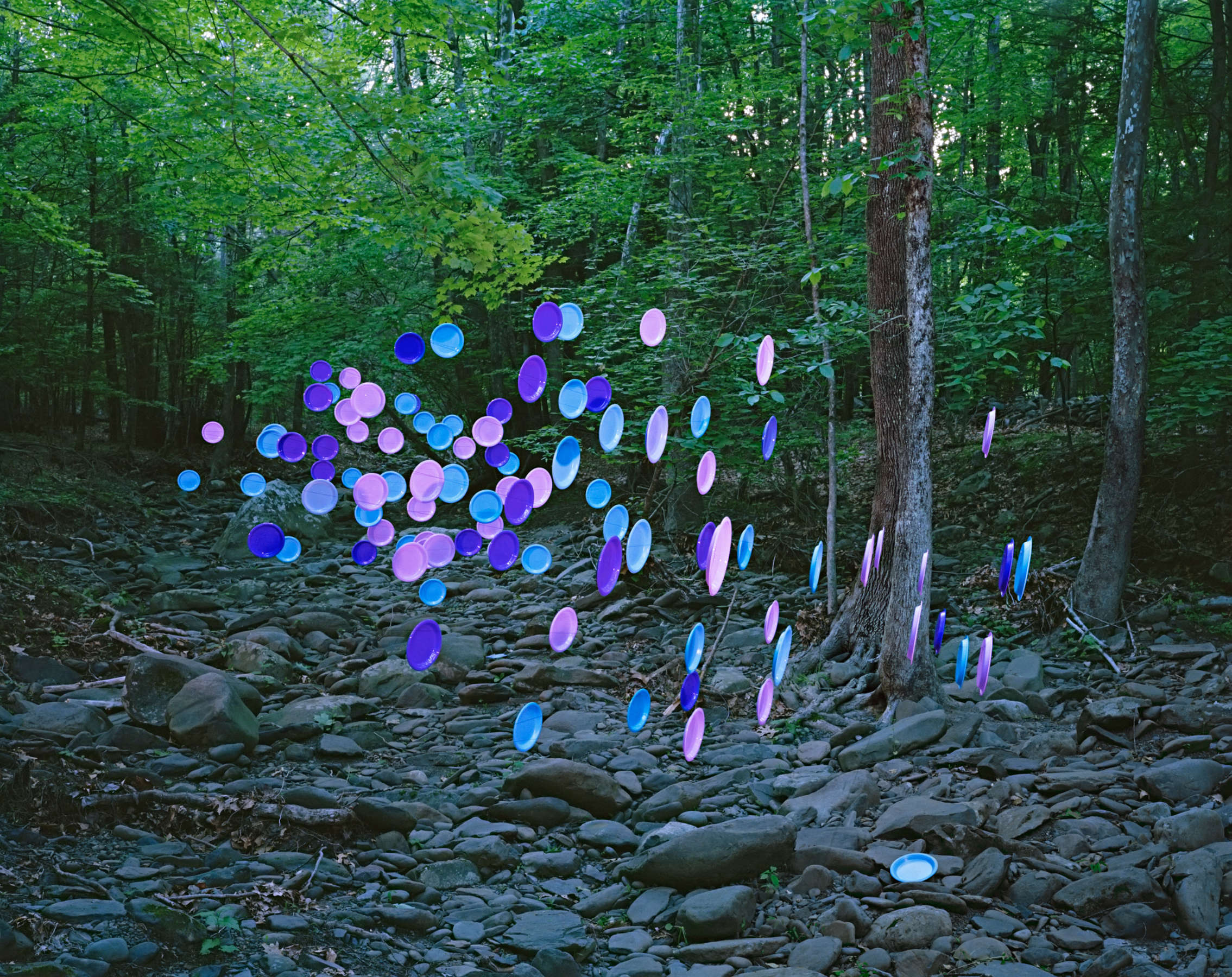 Colorful circular discs in shades of blue, purple, and pink are arranged across a rocky forest streambed, some standing upright and others lying flat among boulders and fallen leaves, with dense green foliage and tree trunks visible in the background.