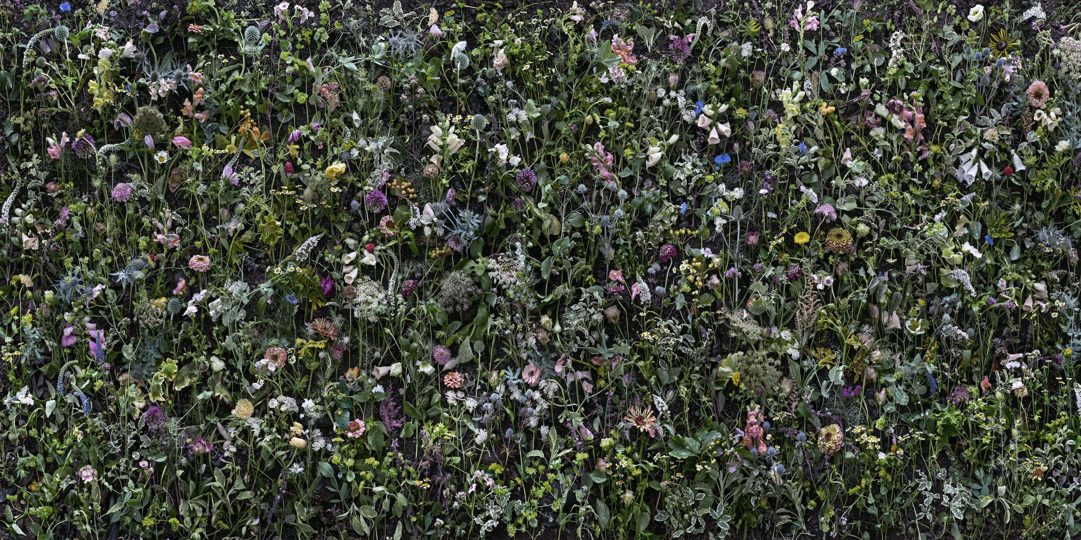 Dense, all-over composition of wildflowers and flowering plants in shades of purple, pink, white, blue, and yellow, interwoven with green foliage and stems creating a lush, naturalistic garden scene.