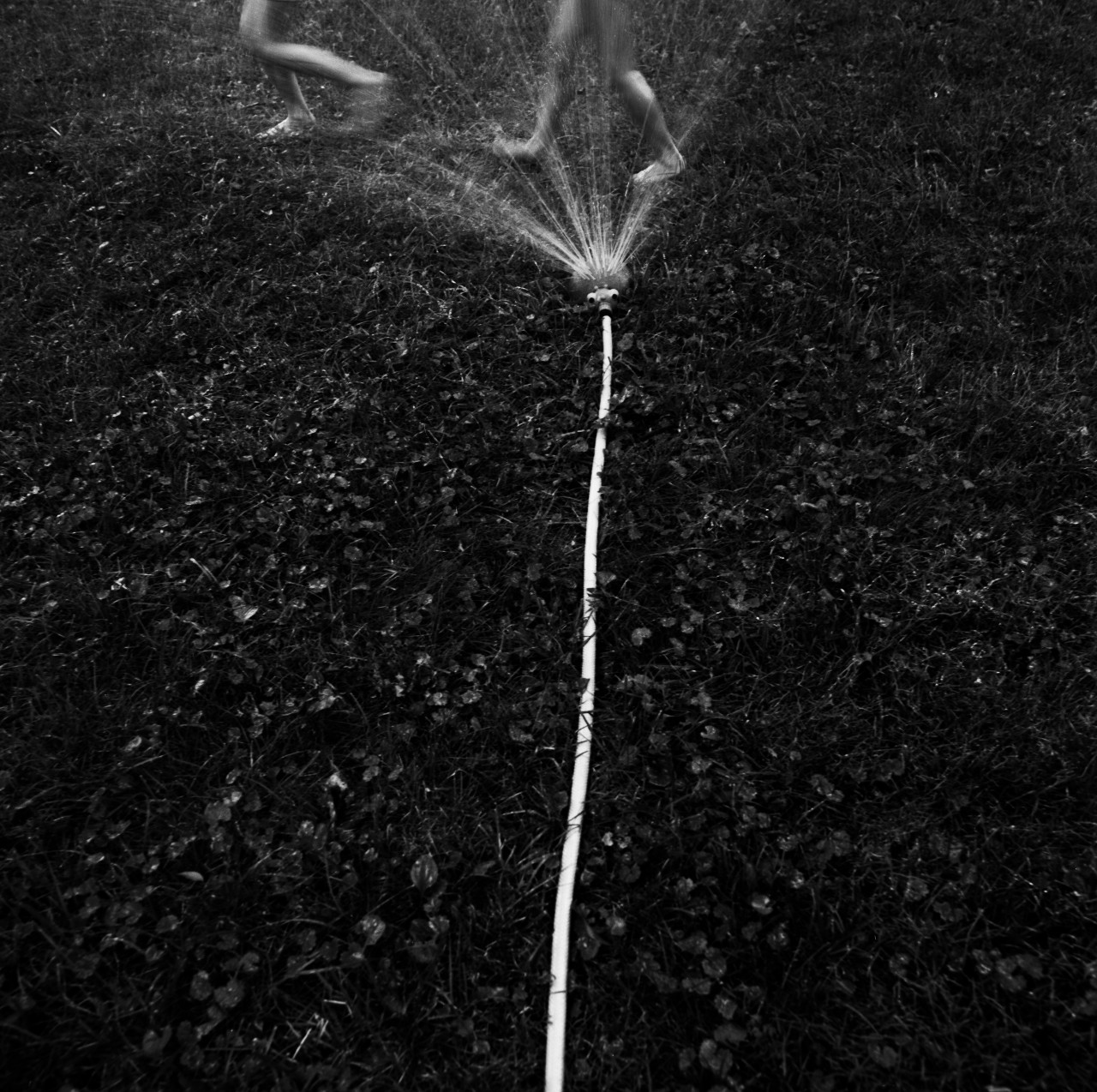 Black and white overhead view of a lawn sprinkler shooting water across grass and soil, with bare feet visible at the top of the frame, suggesting a person standing near the spray.