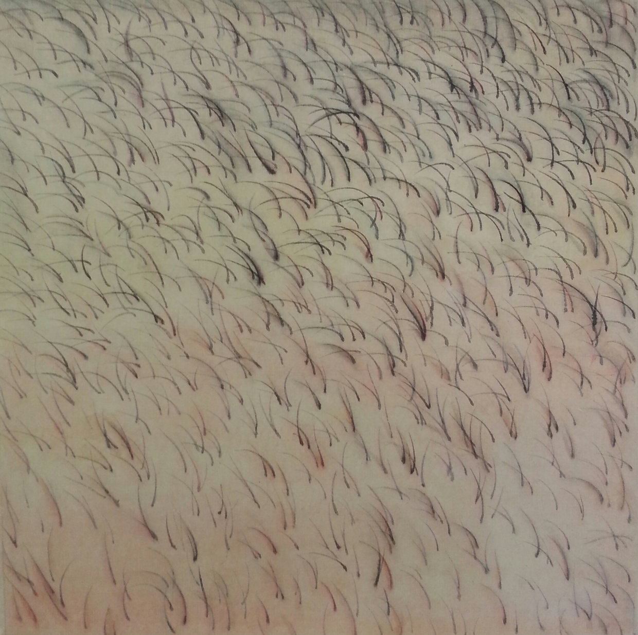 Abstract composition of countless delicate, curved lines in dark brown and black arranged in organic, flowing patterns across a cream and pale pink background, creating the impression of sprouting or growing forms throughout the entire surface.