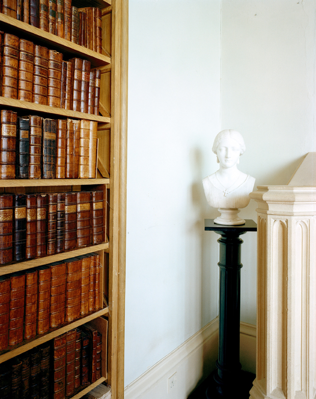 A white marble bust mounted on a black pedestal stands beside a cream-colored classical column, positioned against a white wall next to a wooden bookcase filled with leather-bound volumes in warm brown and rust tones.