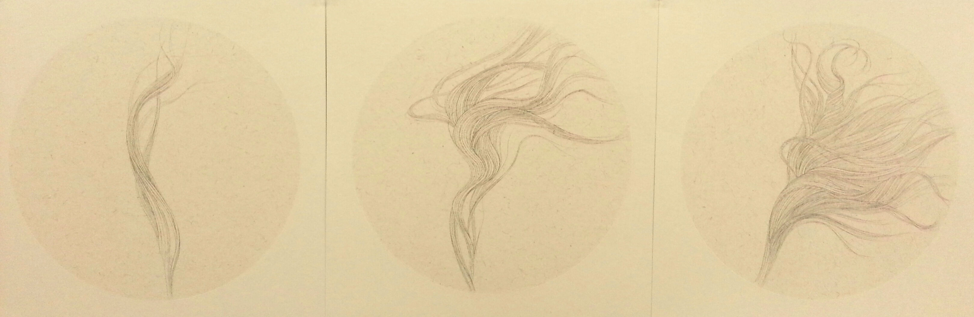 Three delicate pencil sketches on cream-colored paper depicting flowing, wispy strands or flames rendered with fine, gestural linework. The drawings progress from a single sinuous form on the left to increasingly elaborate, multi-directional compositions toward the right.