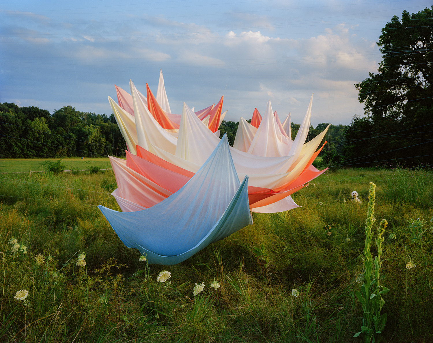 Colorful silk fabric billows in a field of wildflowers and tall grass, with pointed peaks in white, coral, orange, and yellow rising against a blue sky dotted with clouds. The translucent layers create a dynamic, sculptural composition that contrasts the delicate textiles with the natural landscape and dense tree line beyond.