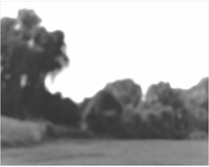Black and white photograph of a landscape with dense trees and foliage along the horizon, rendered in soft focus with a hazy, dreamlike quality. The composition features a grassy foreground beneath an overcast sky, creating an atmospheric, contemplative scene.