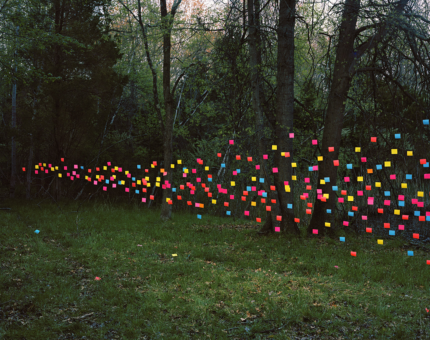 Hundreds of neon-colored Post-it notes arranged in a flowing, wave-like pattern across the base of trees in a dense woodland setting, creating a vibrant contrast against the natural greens and browns of the forest floor.