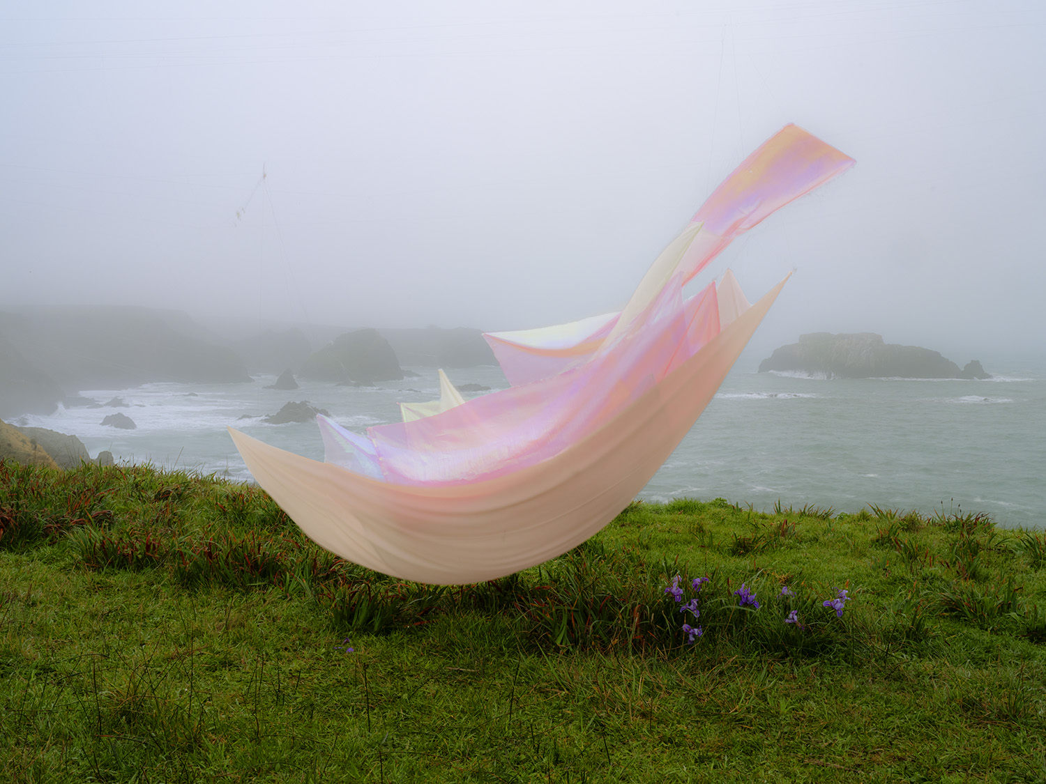 Flowing pink and cream-colored fabric billows across a misty coastal landscape, suspended above green grass dotted with purple wildflowers. Rocky islands and fog-shrouded cliffs frame the grey ocean in the background.