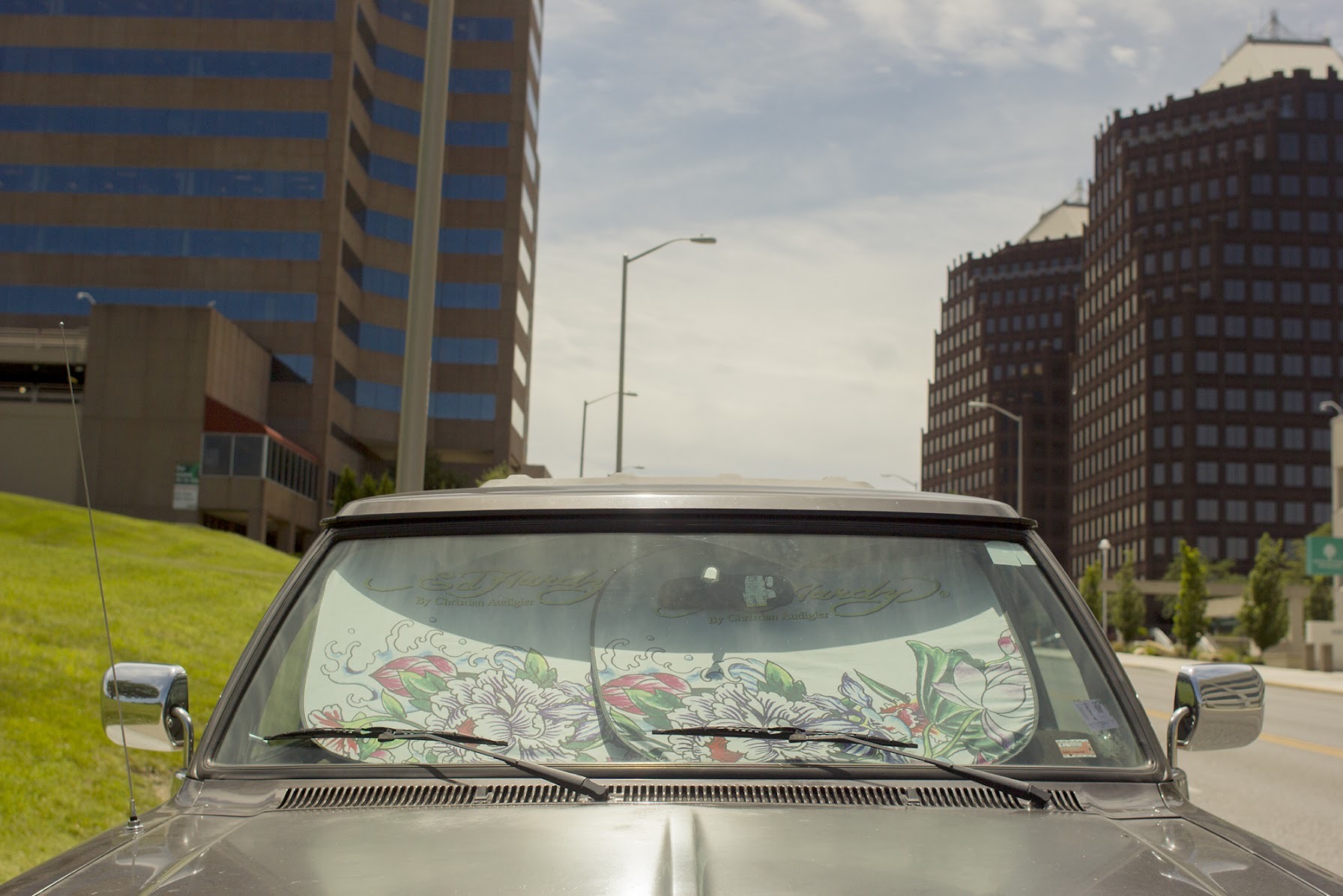 A vintage car's windshield displays an ornate floral sun shade featuring delicate botanical illustrations in green, pink, and white tones, set against an urban backdrop of modern high-rise buildings and green landscaping.
