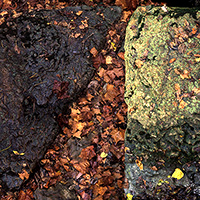 Split composition showing two contrasting rectangular sections: the left side features dark, rust-colored oxidized metal or weathered surface with organic texture, while the right displays moss-covered stone with bright chartreuse-yellow lichen growth. The adjacent surfaces create a stark visual dialogue between decay and living growth.