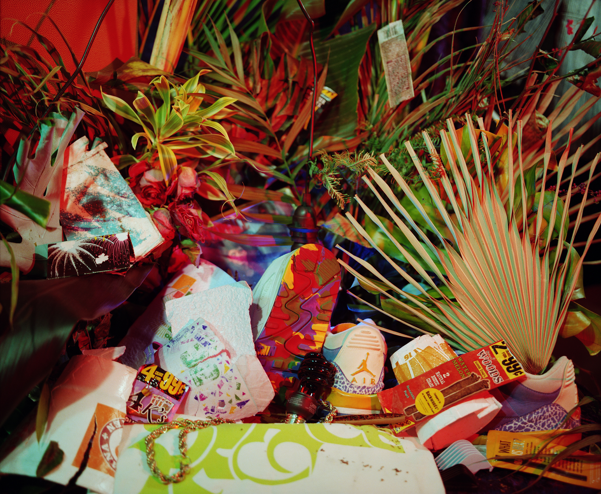 A vibrant still life composition featuring tropical plants with red and yellow striped foliage alongside colorful printed materials, product packaging, and decorative objects arranged on a surface. Saturated reds, yellows, greens, and blues dominate the layered arrangement, creating a visually dense, maximalist composition with strong color contrasts and dramatic lighting.