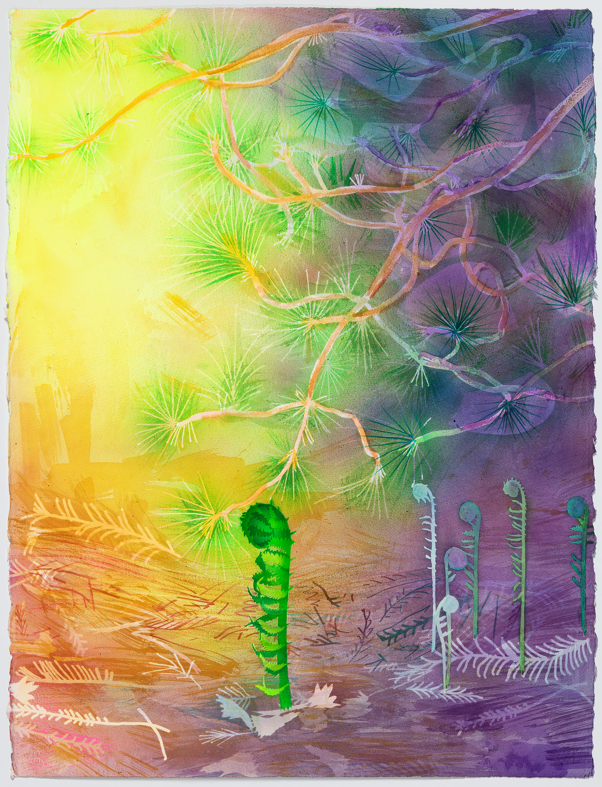 Watercolor painting depicting a vibrant gradient landscape transitioning from warm yellows and oranges on the left to cool purples and teals on the right. Delicate branching forms with radiating needle-like leaves extend across the upper portion, while stylized botanical elements—including a bright green columnar form and pale vertical stems with rounded tops—emerge from the textured ground below.