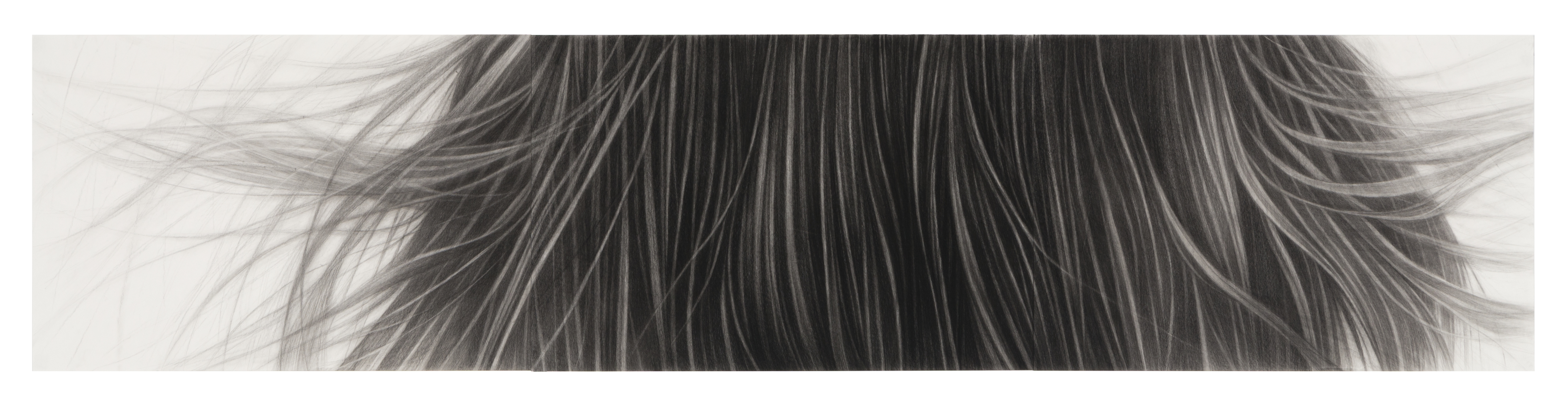 A horizontal composition of dark charcoal strokes rendered on light paper, depicting long, fine strands of hair flowing and dispersing across the surface. The delicate linework creates a sense of movement, with individual strands becoming increasingly wispy and diffuse toward the edges, transitioning from densely packed vertical marks in the center to spare, floating lines at the periphery.
