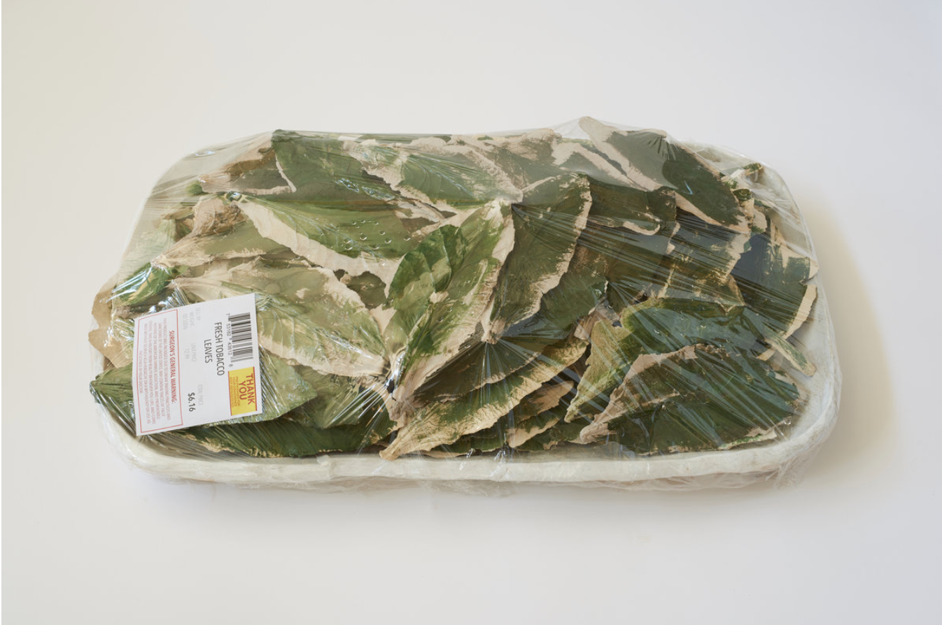 A clear plastic container holds crumpled green and white ceramic forms resembling dried tobacco leaves, with a product label affixed to the side. The sculptural arrangement mimics the appearance of packaged botanical material through glazed porcelain pieces wrapped in plastic.