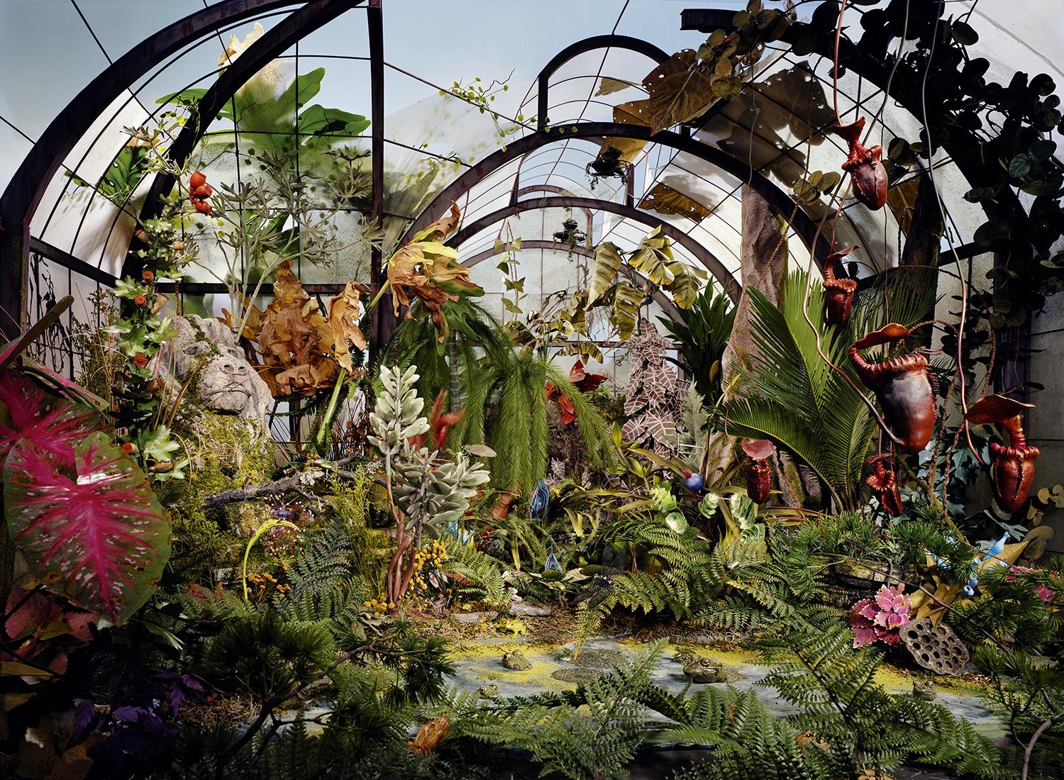 A lush greenhouse interior densely planted with tropical vegetation, ferns, and exotic flowering plants including red pitcher plants and pink bromeliads. The space is enclosed by curved black metal framework supporting translucent panels, with natural light filtering through, creating a humid, immersive botanical environment.
