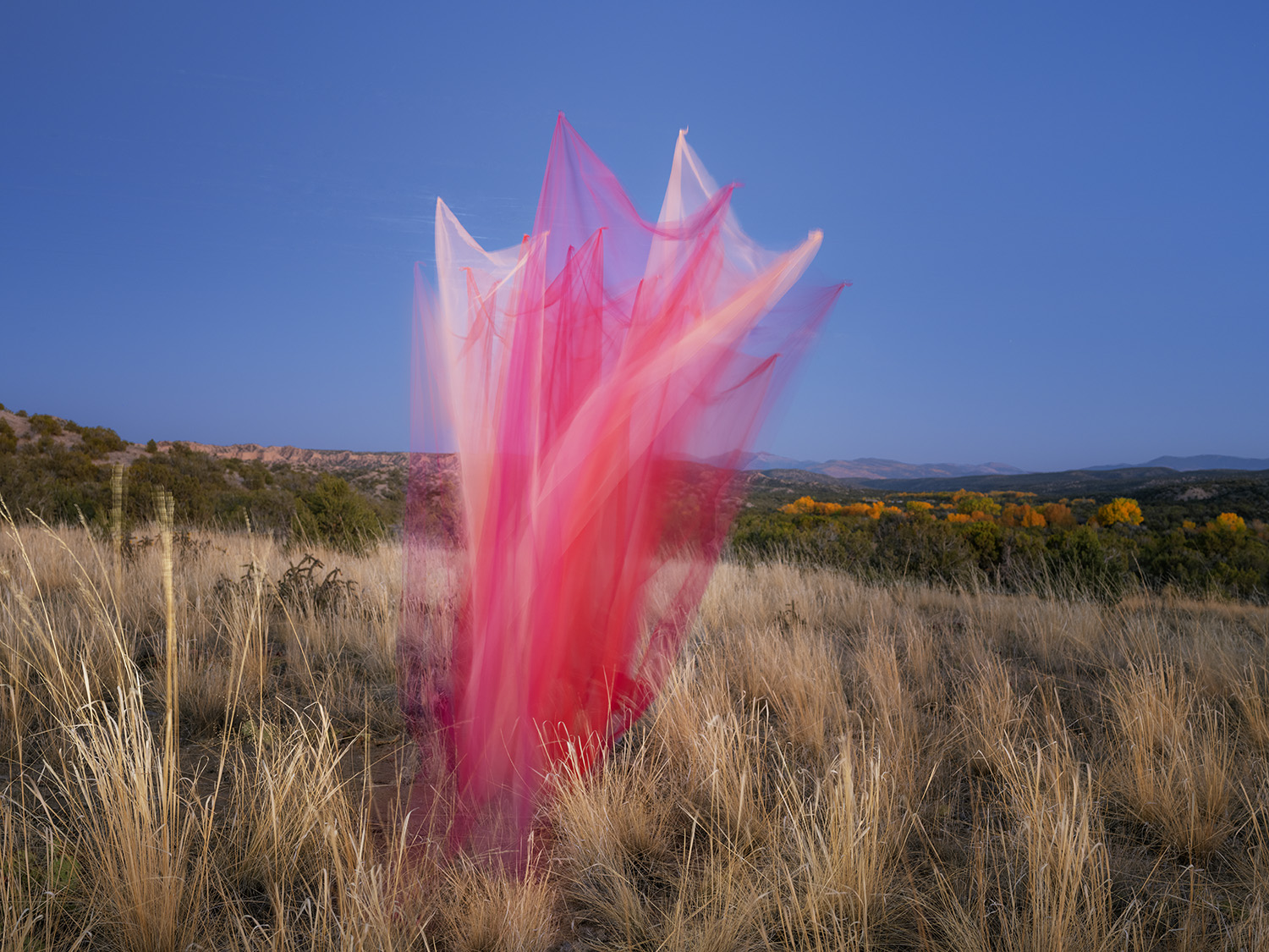 A luminous pink and magenta tulle structure with sharp, pointed peaks rises from a dry desert landscape dotted with golden grasses and sparse vegetation, set against a clear blue sky and distant hills.