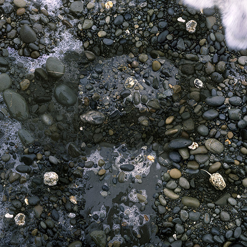 Overhead view of a rocky tidal zone with smooth stones, pebbles, and shells scattered across wet dark sand and shallow pools of water. White and cream-colored shells and barnacles punctuate the darker earth tones of the beach composition.