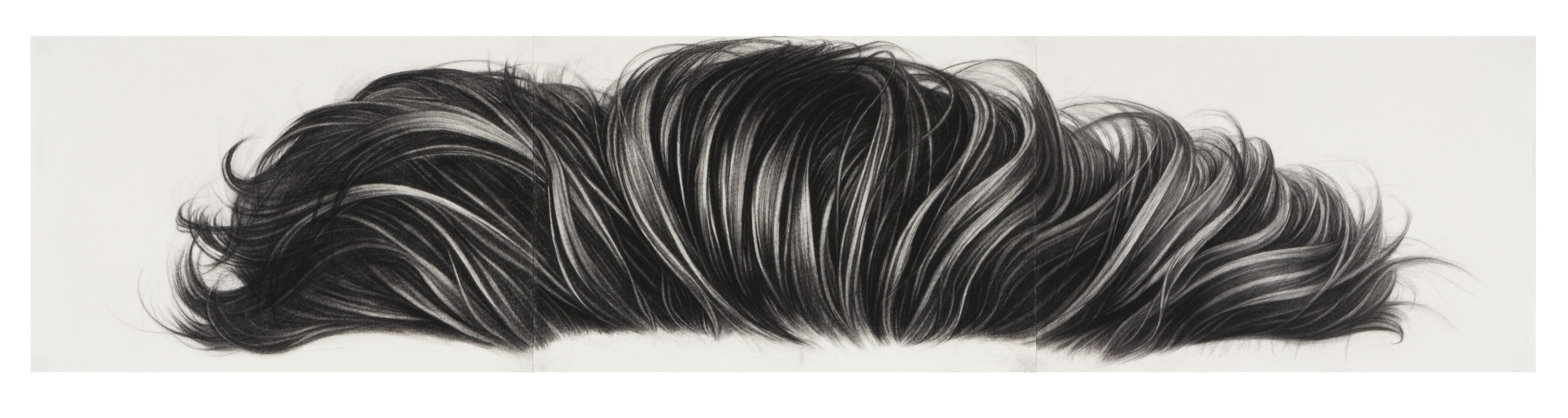 Charcoal drawing of a voluminous, wavy mass of dark hair rendered in flowing strokes across a light background, depicting texture and movement through varying lines and shading.