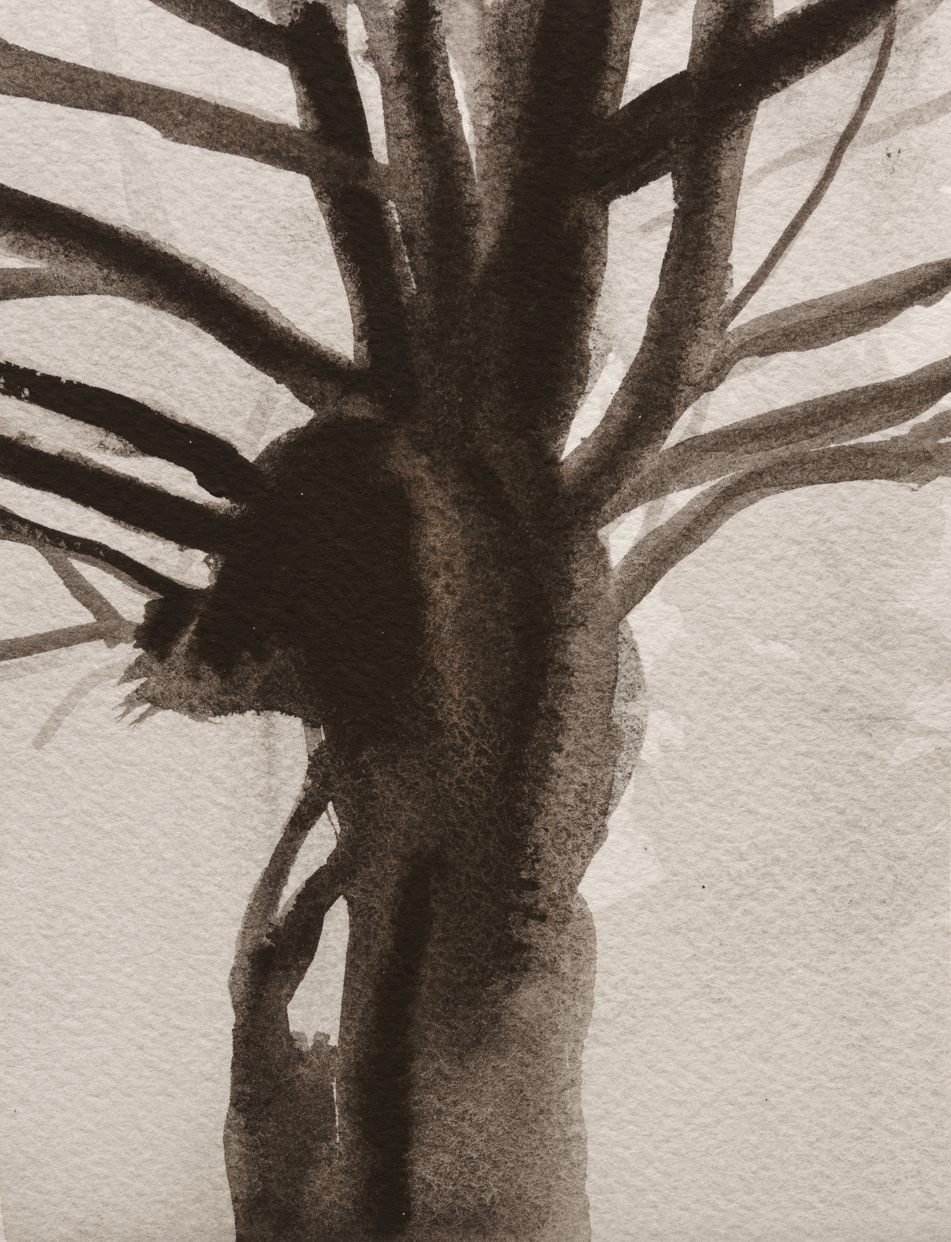 A monochromatic gouache painting depicting a tree trunk viewed from below, its branches radiating outward in sharp, angular forms against a pale background. The composition emphasizes dramatic shadows and strong contrasts, creating an architectural quality to the organic subject.