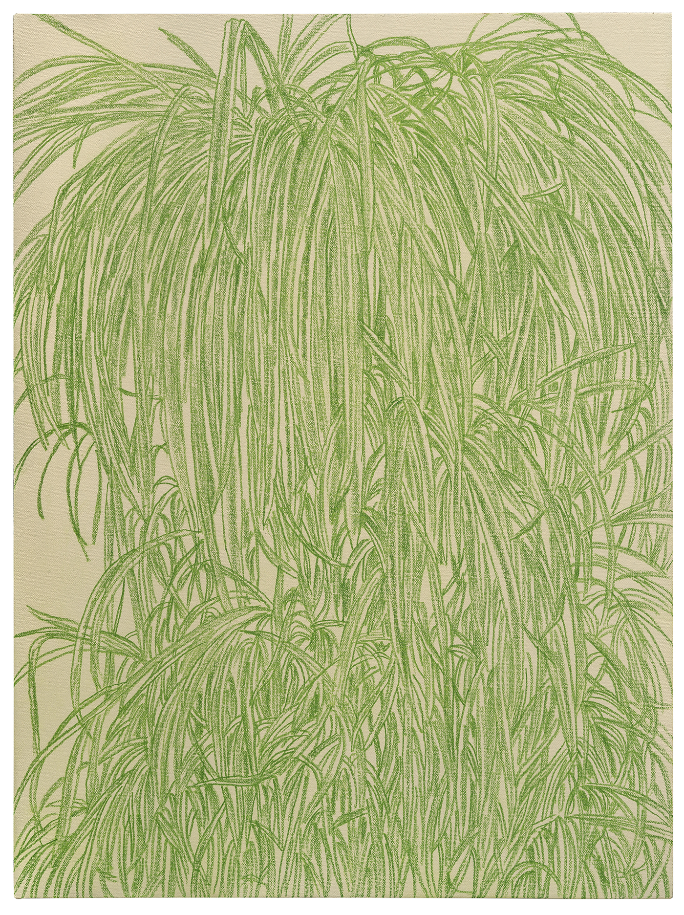 Fine linear drawing in green colored pencil depicting cascading strands of delicate, wispy foliage against a cream-colored linen ground. The composition features densely layered, hair-like marks that create a flowing, weeping plant form with organic movement throughout the vertical composition.