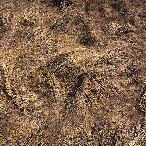 Densely layered strands of dried grass and straw in warm golden and brown tones create an intricate, textured composition. The organic fibers interweave across the entire frame in a naturalistic, abstract pattern.
