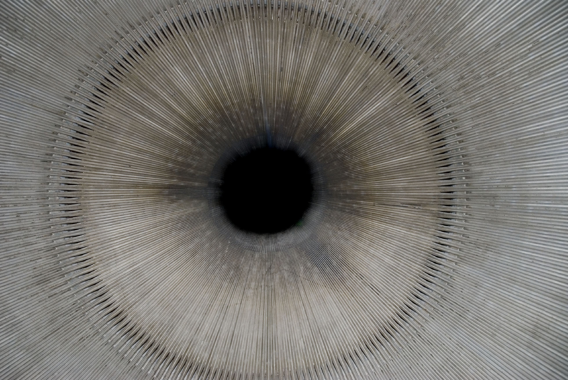 Extreme close-up of a human iris rendered in grayscale, with radiating striations extending outward from a dark pupil toward the outer edge of the frame. Fine linear details create a hypnotic, almost architectural pattern across the entire composition.