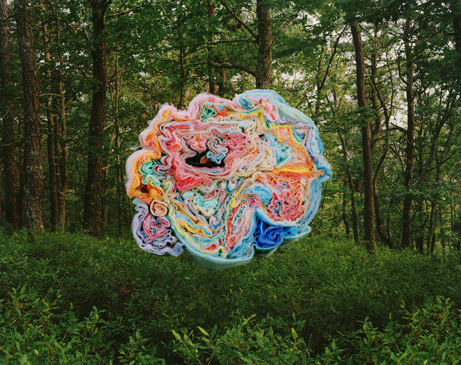 A vibrant, amorphous sculptural form with undulating pink, blue, yellow, and orange surfaces sits in a forest clearing surrounded by tall trees and green undergrowth. The colorful object exhibits an organic, fluid quality with swirling patterns and a translucent, layered appearance.