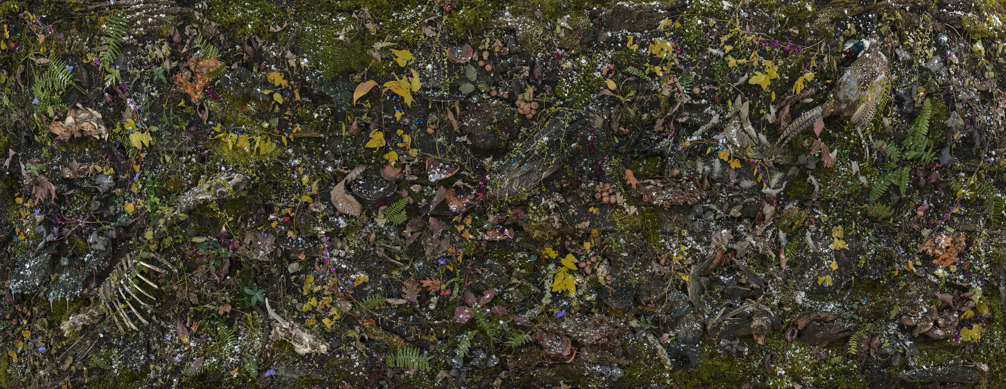 Dense, overhead composition of overlapping natural and organic materials—moss, lichen, ferns, and wildflowers in shades of green, yellow, purple, and brown—creating an intricate, textured surface that suggests a forest floor or botanical ecosystem viewed from directly above.