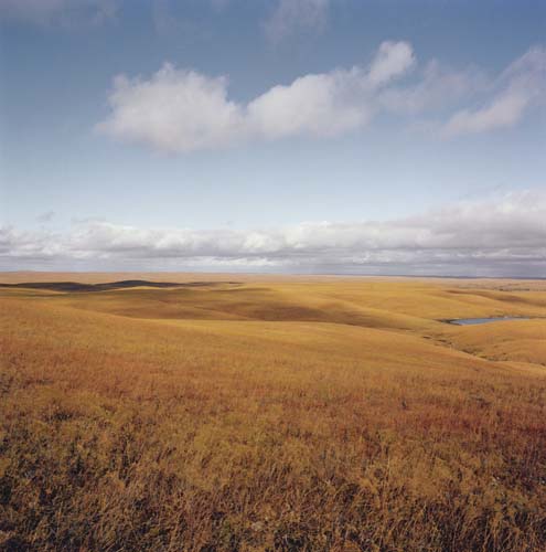 Expansive golden-brown grassland stretches toward the horizon under a partly cloudy sky, with subtle rolling terrain and a small body of water visible in the distance.