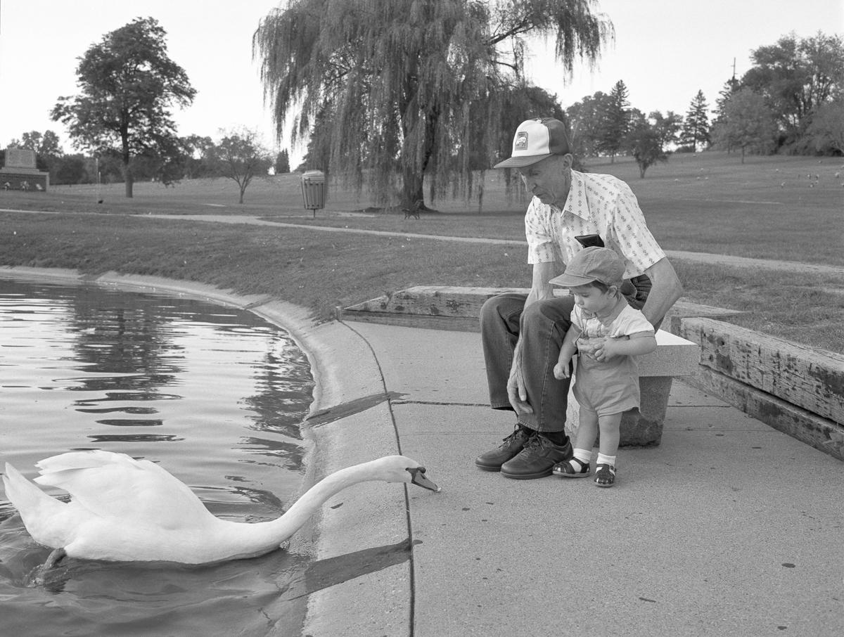 Black and white photograph of an adult and child standing on a concrete path beside a pond, feeding a white swan. Trees and an open park landscape stretch across the background beneath an overcast sky.