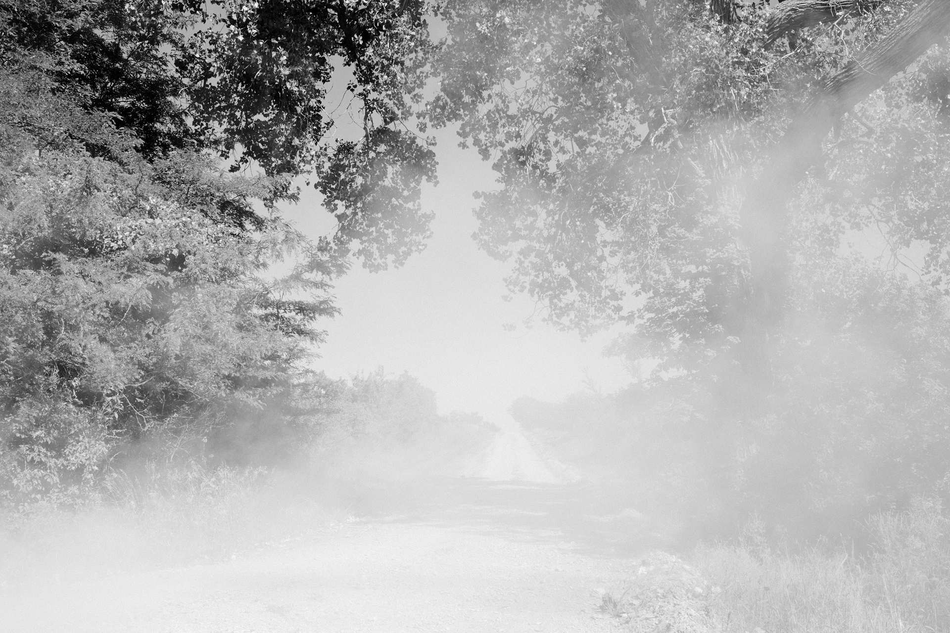 Black and white photograph of a misty rural road lined with dense trees on both sides, the foliage rendered in varying tones of gray that fade into heavy fog obscuring the path ahead. The composition emphasizes atmospheric depth and obscured visibility, with darker tree masses framing a luminous, hazy center.