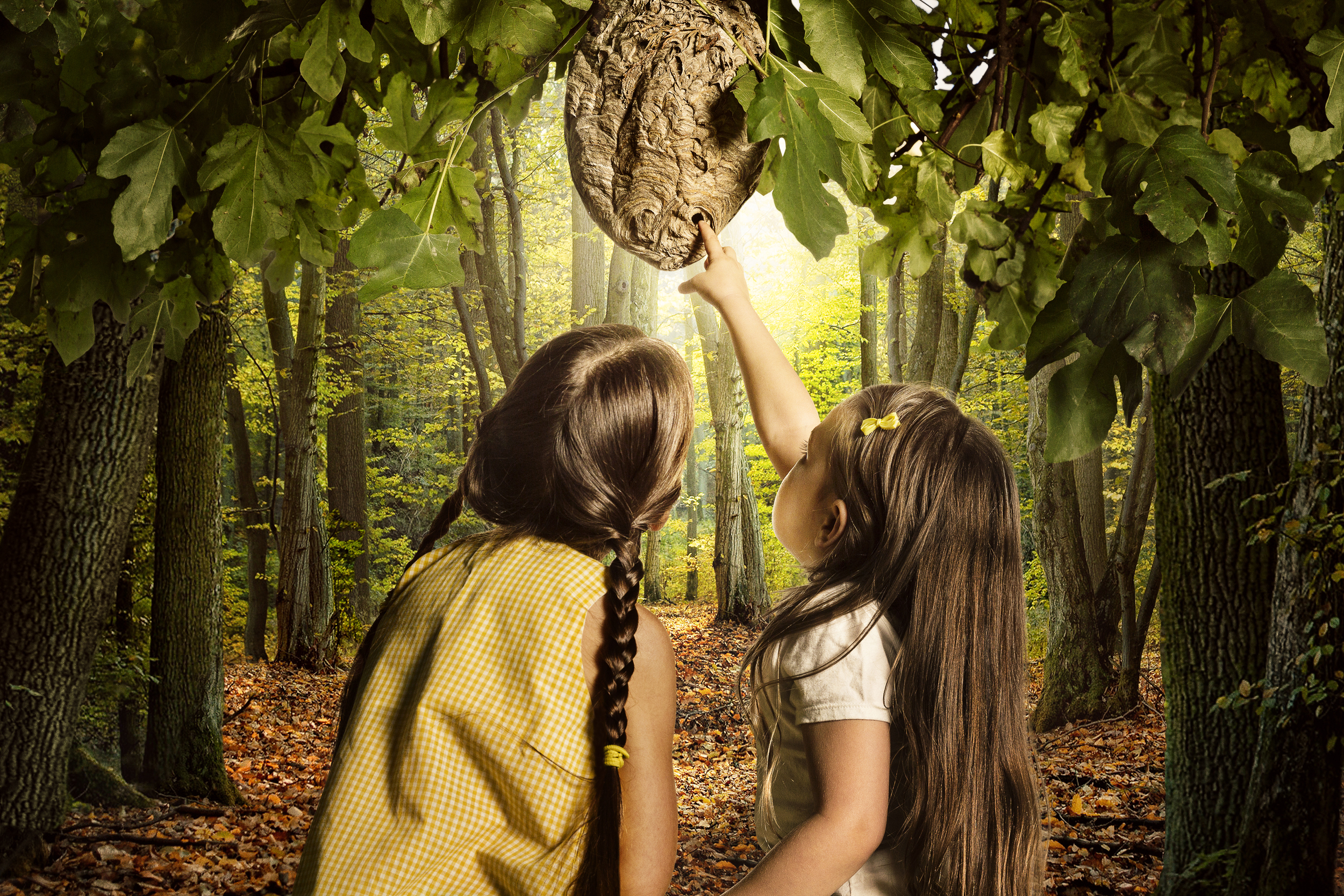 Two young girls with long brown hair stand on a forest path lined with tall trees, viewed from behind. The girl on the left wears a yellow gingham shirt and reaches upward toward a large papery nest hanging from vine-covered branches above, while the girl on the right in a white shirt looks on. Dappled golden light filters through the canopy, illuminating the lush green foliage and creating a dreamlike, atmospheric quality.