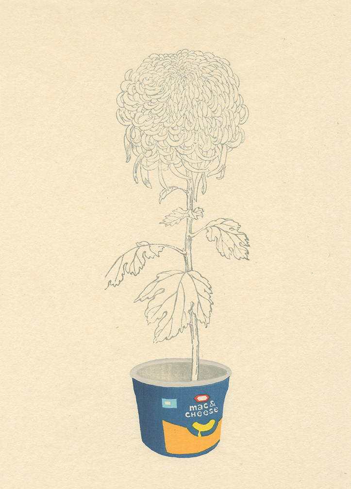 A delicate pencil drawing of a chrysanthemum flower with intricately layered petals rises from a blue and yellow mac and cheese box, rendered in a minimalist style against a cream-colored background.