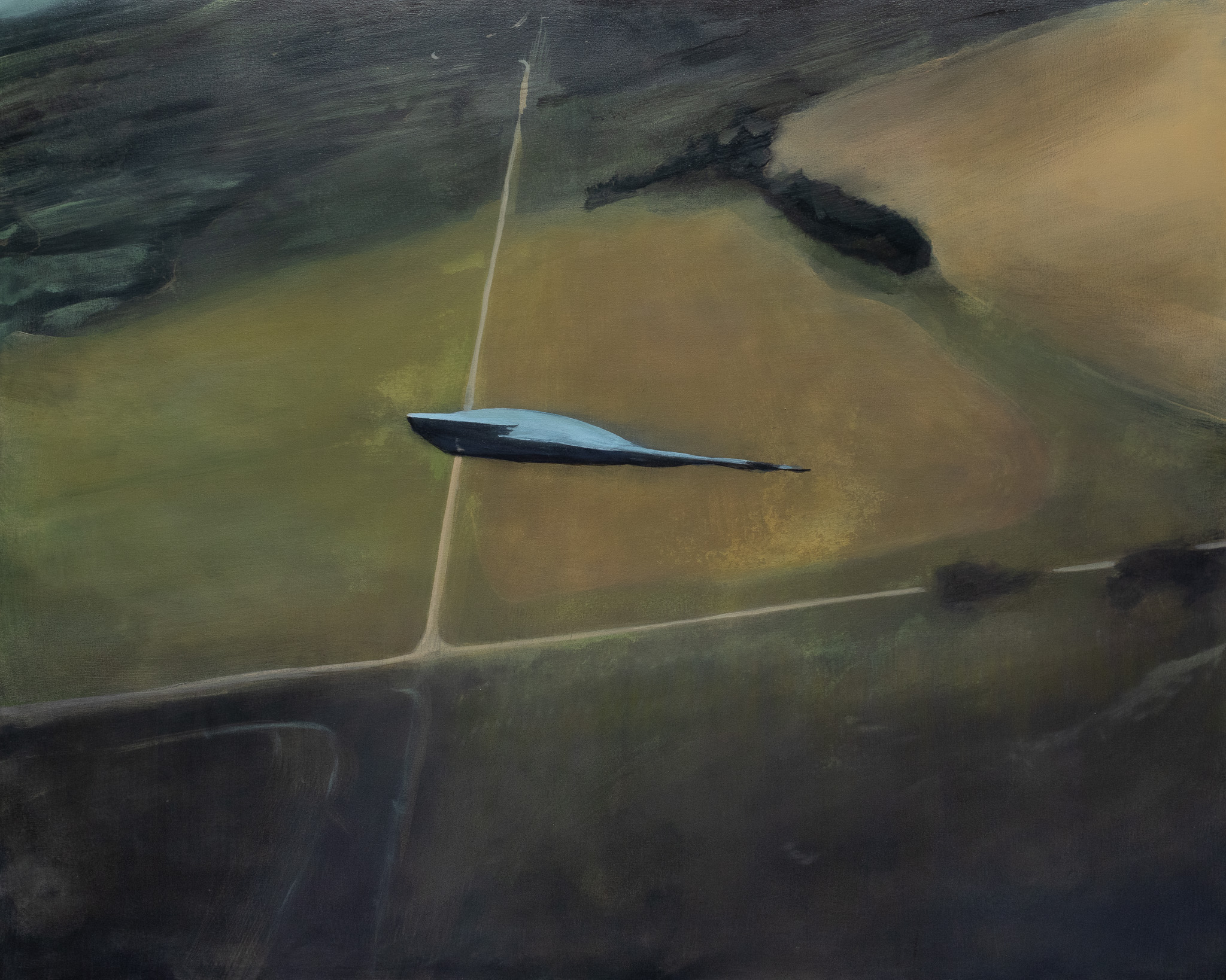 An aerial view of a landscape divided by geometric lines, with a pale blue-white elongated form centered in the composition. Surrounding fields display muted tones of ochre, olive, and tan, with darker linear elements suggesting roads or boundaries creating a grid-like pattern across the earth.