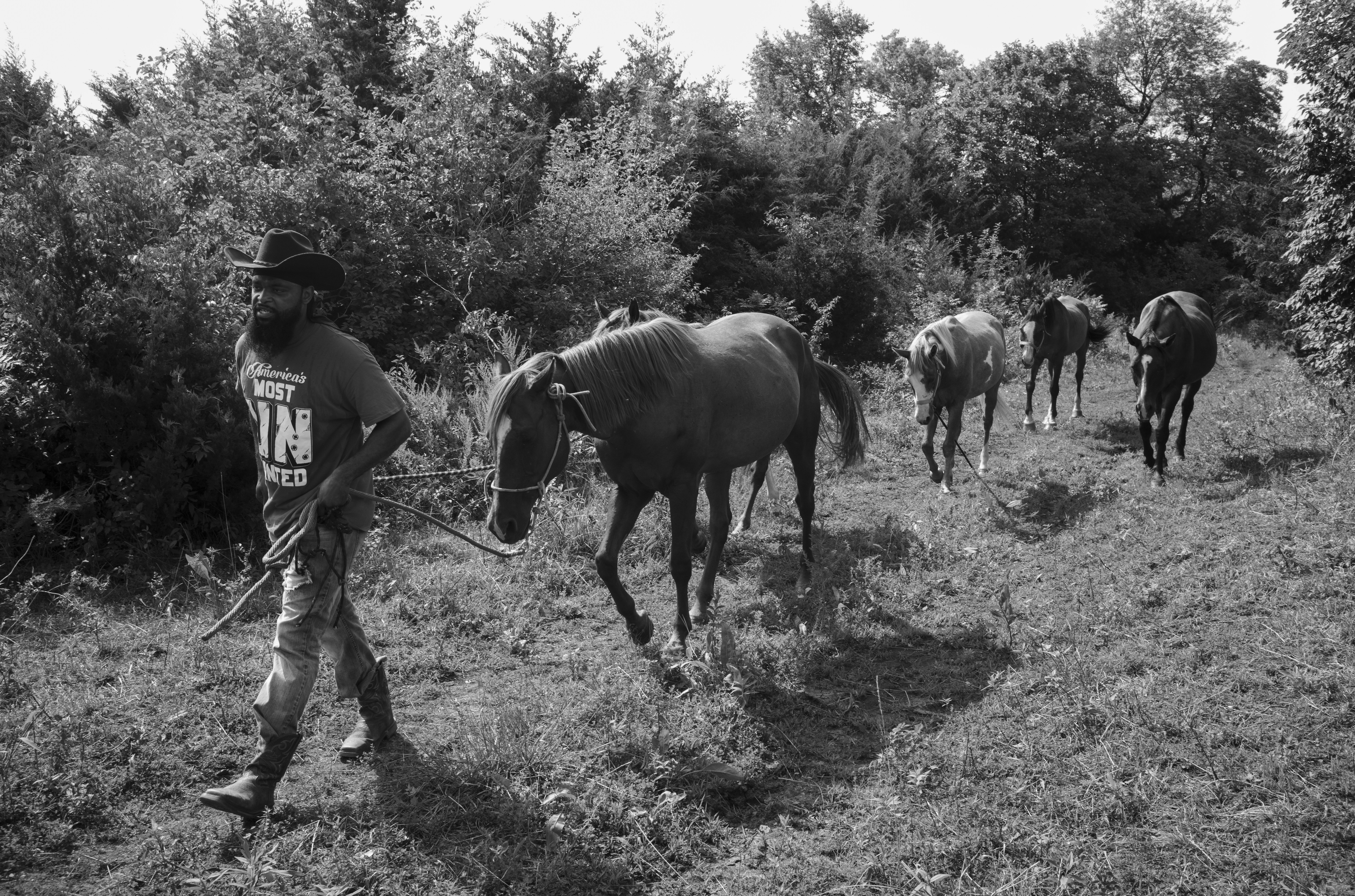 A bearded man in a cowboy hat and graphic t-shirt leads a group of horses along a overgrown dirt path lined with dense vegetation in this black and white photograph. The composition captures the man in profile on the left with several horses trailing behind him through an untamed landscape.