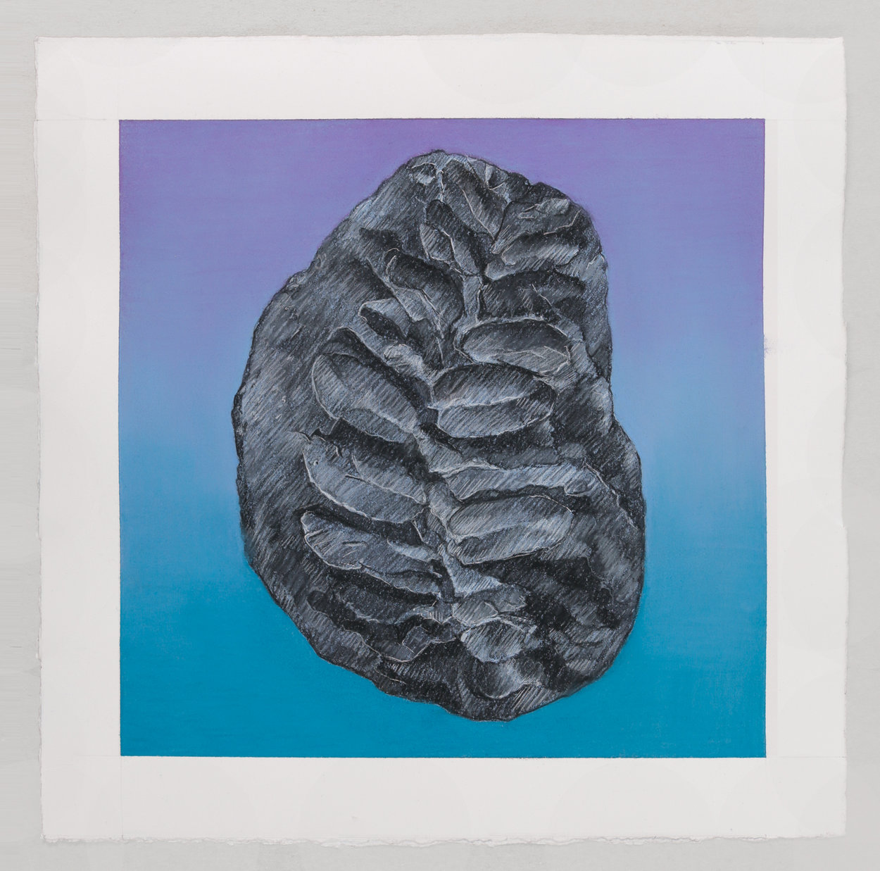 A detailed graphite drawing of a fossilized fern leaf rendered in grayscale, centered against a gradient background that transitions from purple at the top to deep teal at the bottom. The textured surface of the fossil shows fine linear details and dimensional shading that emphasize its three-dimensional form.