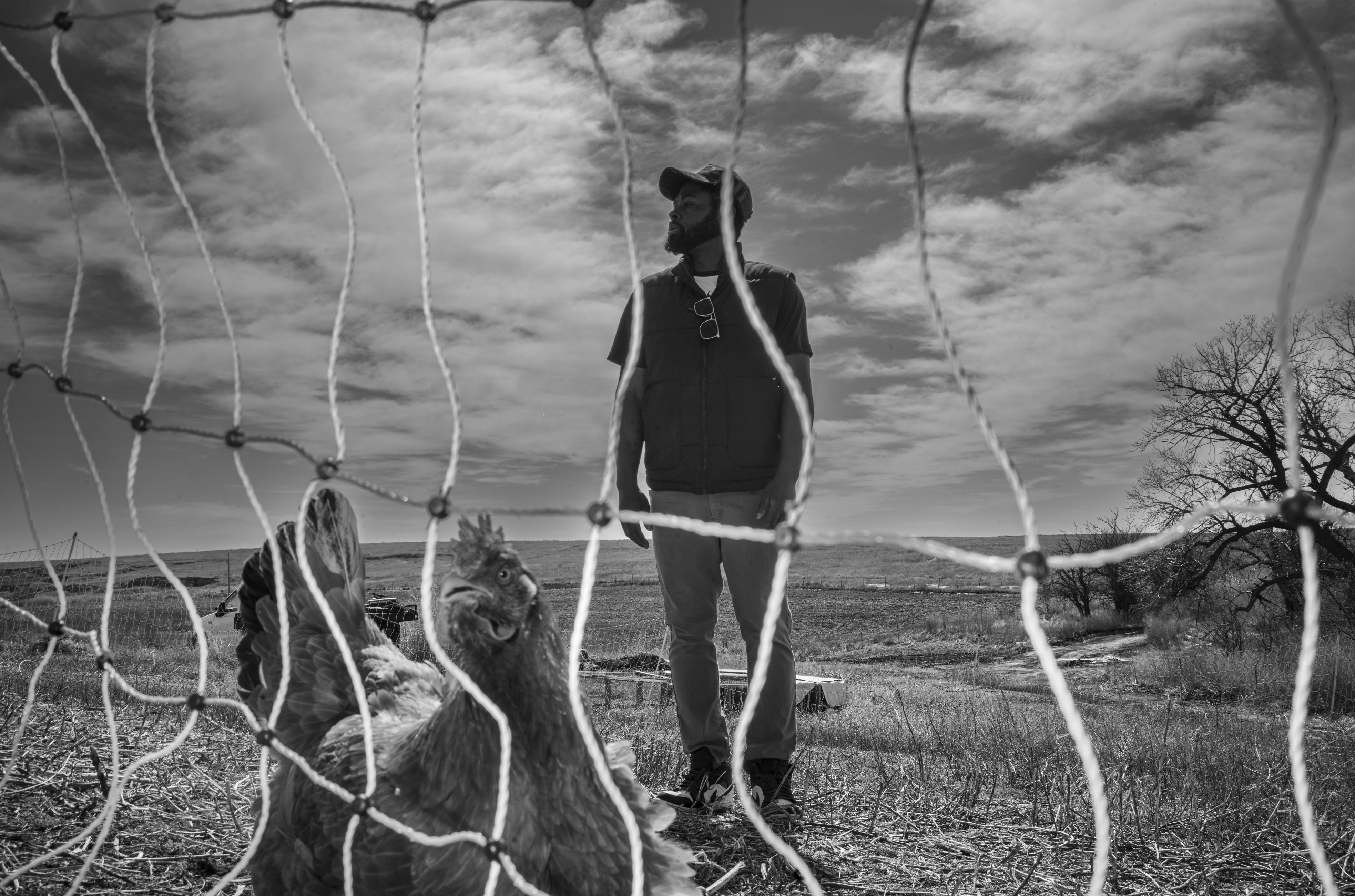 Black and white photograph showing a person standing in a vast, flat landscape with chickens in the foreground behind a wire fence. The composition is framed through the fence netting, which creates geometric lines across the image, while dramatic clouded skies dominate the background.