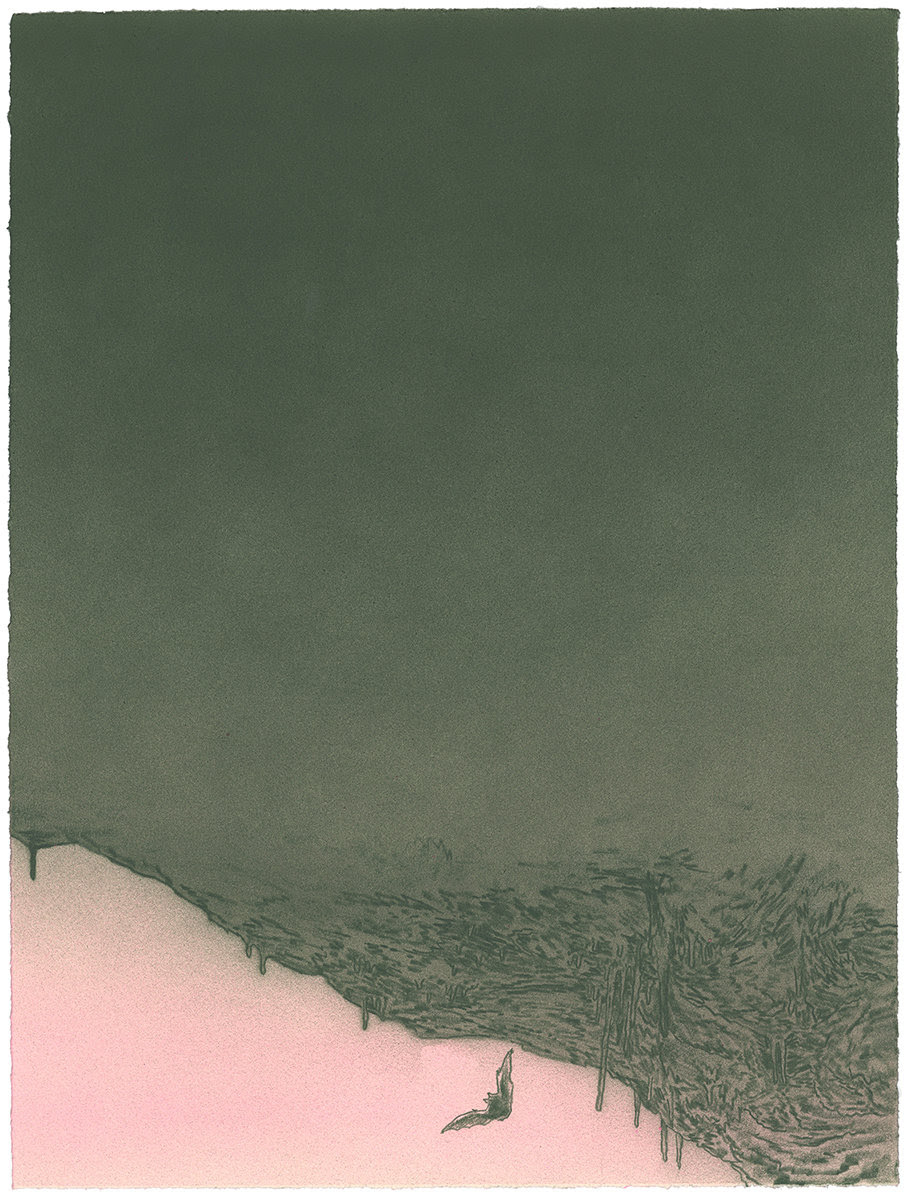 A composition divided horizontally, with a solid dark green upper section and pale pink lower section. Along the division, detailed pen work depicts wispy, wind-blown grass or vegetation that drips downward, creating a stark contrast between the two color fields. A small dark silhouette of a bird or creature appears in the pink section below.