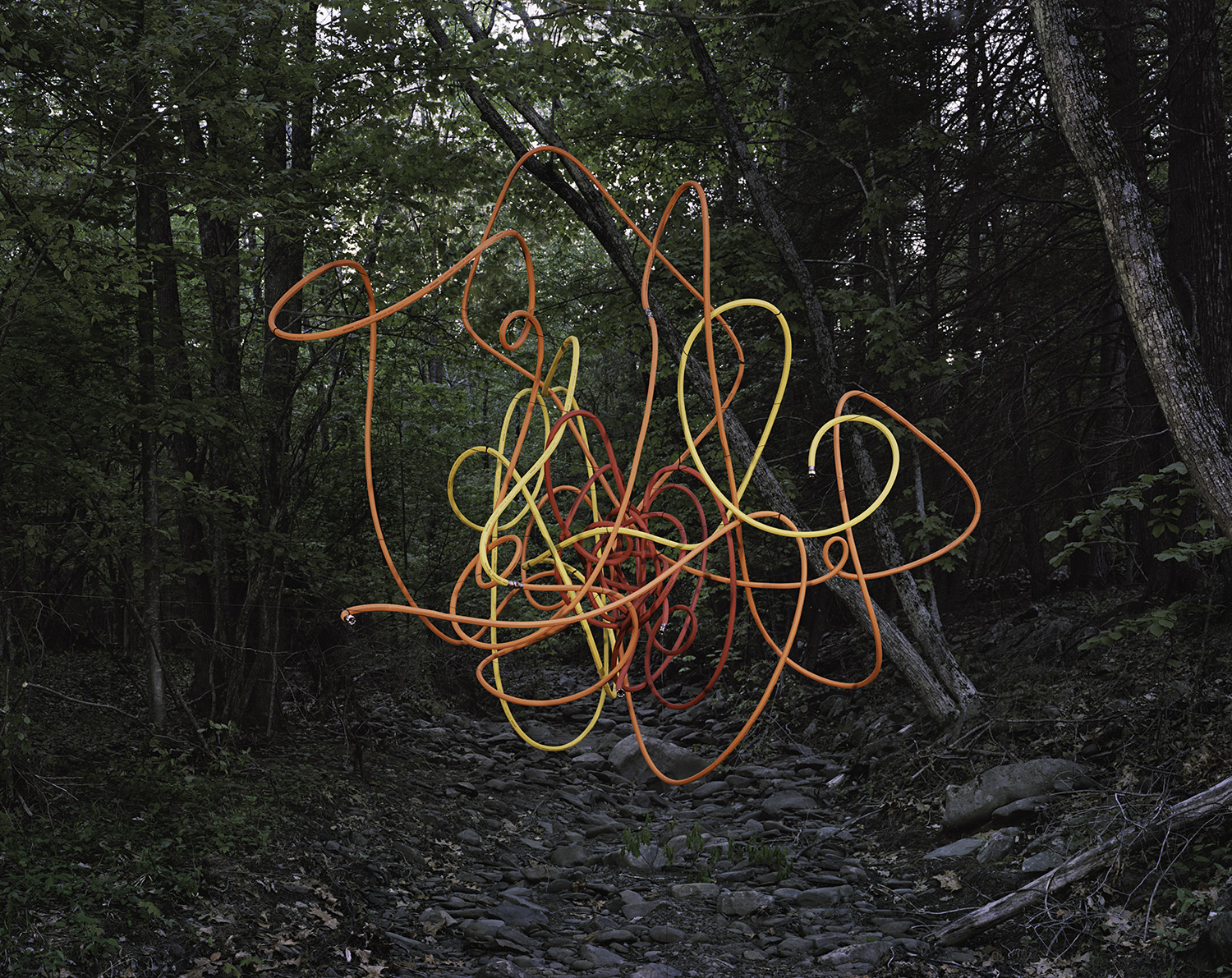 A coiled garden hose in shades of orange and yellow suspended in mid-air on a forest path, with dense green trees and rocky ground visible behind and below it.