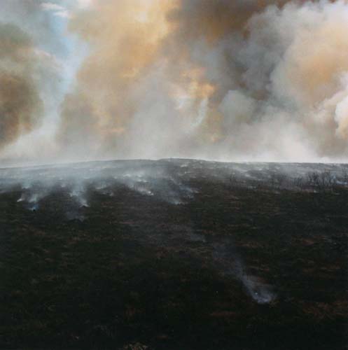 Aerial view of a vast landscape with dark forested terrain dotted with multiple plumes of smoke and fire, rendered in muted earth tones and grays beneath a hazy sky filled with billowing smoke.