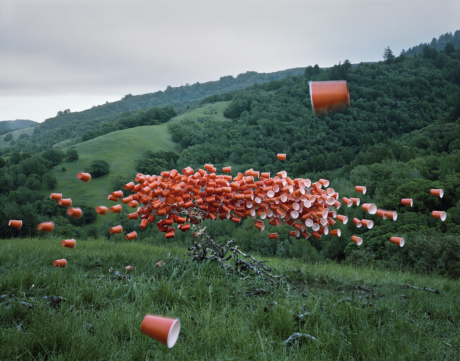 Hundreds of terracotta-colored plastic cups scattered across a rolling green hillside dotted with trees, with additional cups suspended in mid-air above the landscape, creating a surreal intervention in the natural environment.