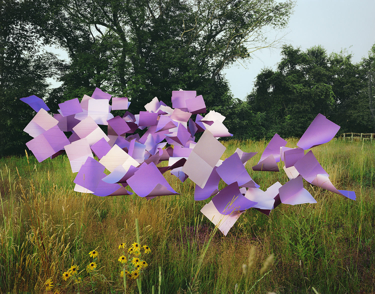 Large-scale sculptural arrangement of purple and white file folders positioned in a grassy meadow with wildflowers and trees in the background, creating an abstract three-dimensional composition that contrasts geometric forms with natural landscape.