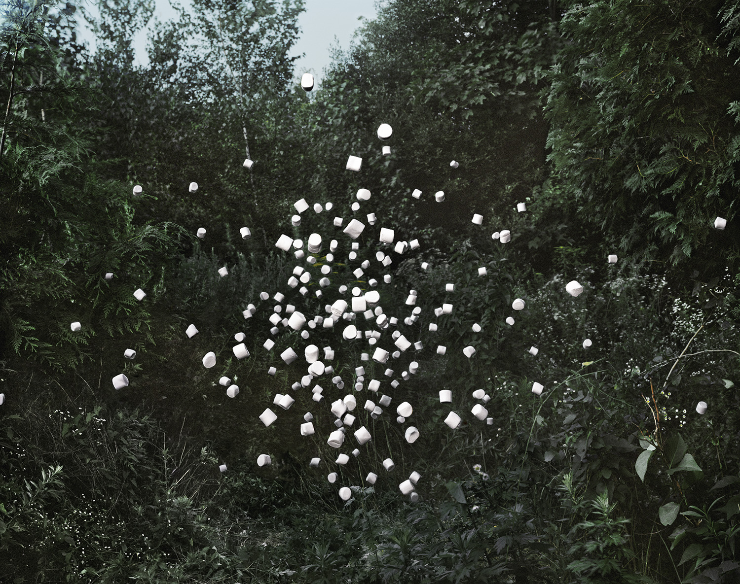 Dozens of white cylindrical and cubic objects suspended in mid-air against a dense backdrop of green foliage and trees, creating a striking contrast between the geometric white forms and the organic natural environment.