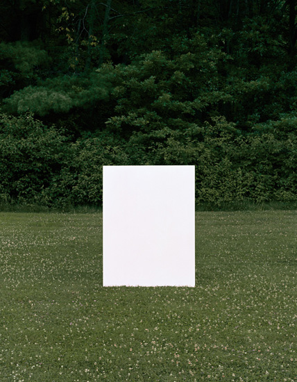 A large white rectangular panel stands upright in a mown grass field dotted with small flowers, with a dense wall of dark green foliage and trees forming the background.