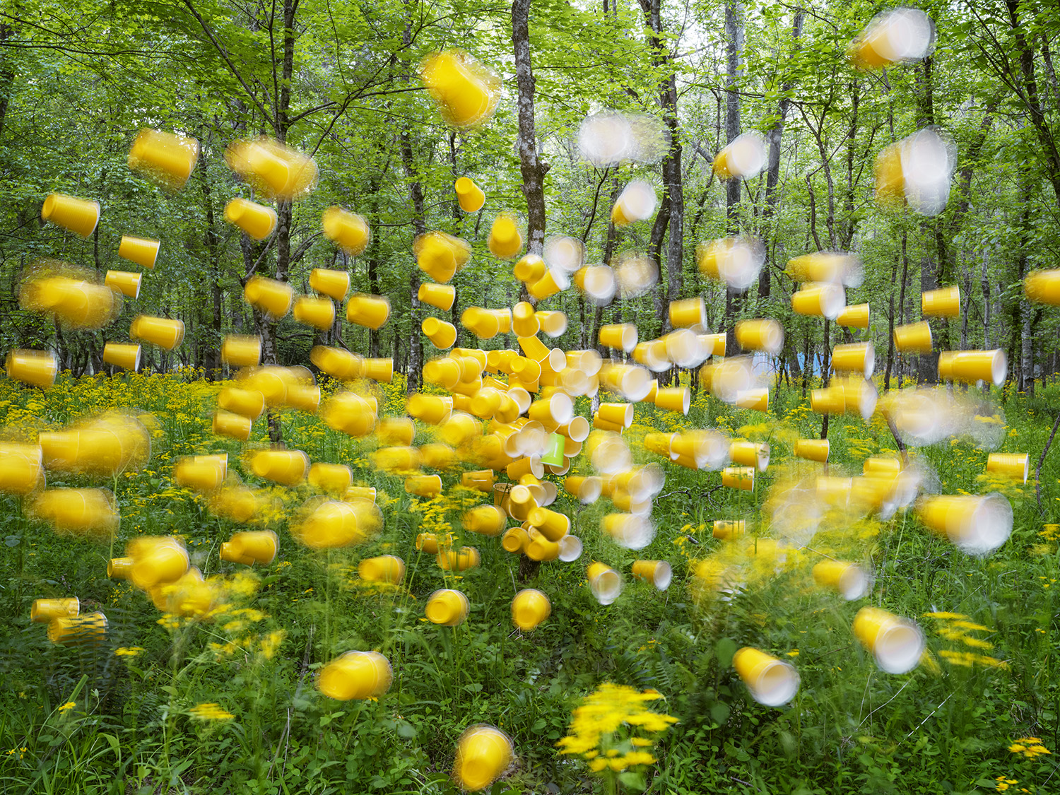 Hundreds of bright yellow paper cups suspended and scattered throughout a lush forest clearing, some in sharp focus and others blurred, creating a dreamlike installation against dense green trees and wildflowers.